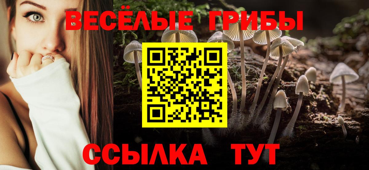 Псилоцибиновые грибы GOLDEN TEACHER  Вход с VPN  Дзержинский  Псилоцибиновые грибы GOLDEN TEACHER 